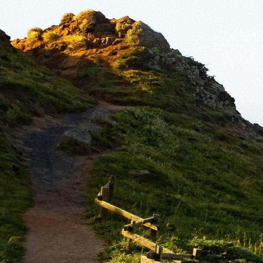 ai image resizer example 4